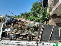 Best Construction Debris Removal  in Walworth, WI