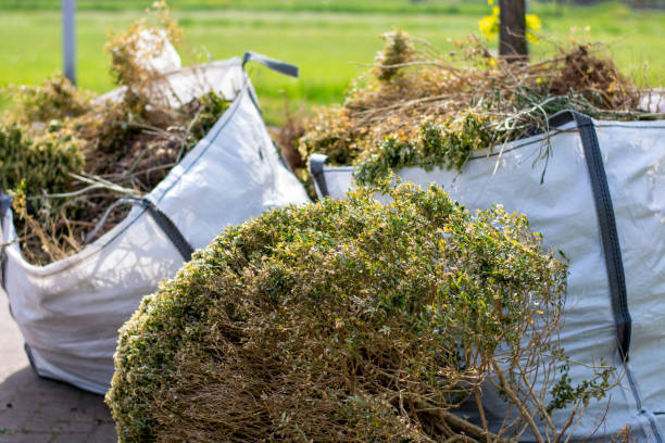 Trusted Walworth, WI Junk Removal Services Experts